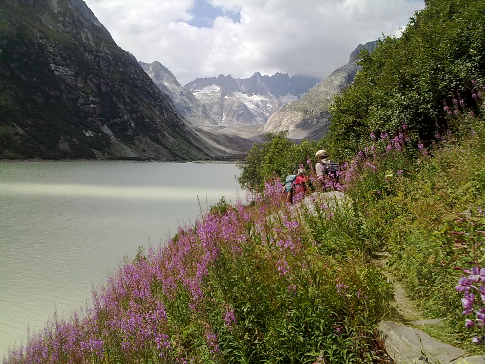 Grimselweg (Bild: Peter Anderegg)