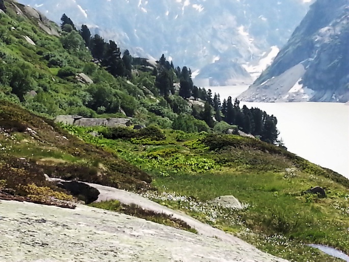Feuer in den Alpen 2014. (Bild: Peter Anderegg)