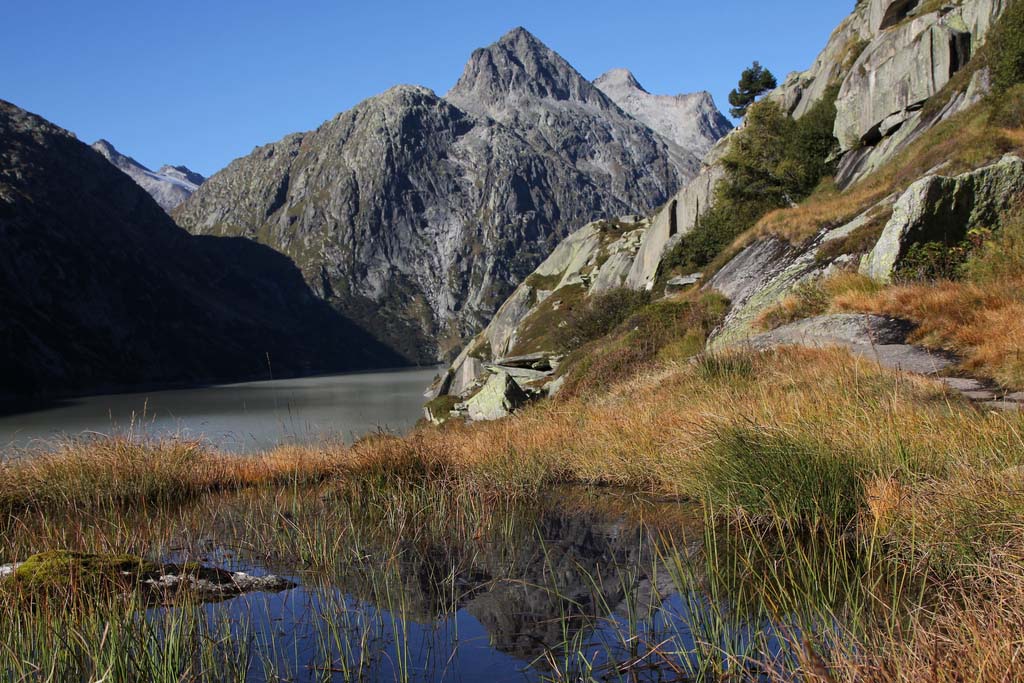'Flachmoor Grimsel' von Christoph Hurni