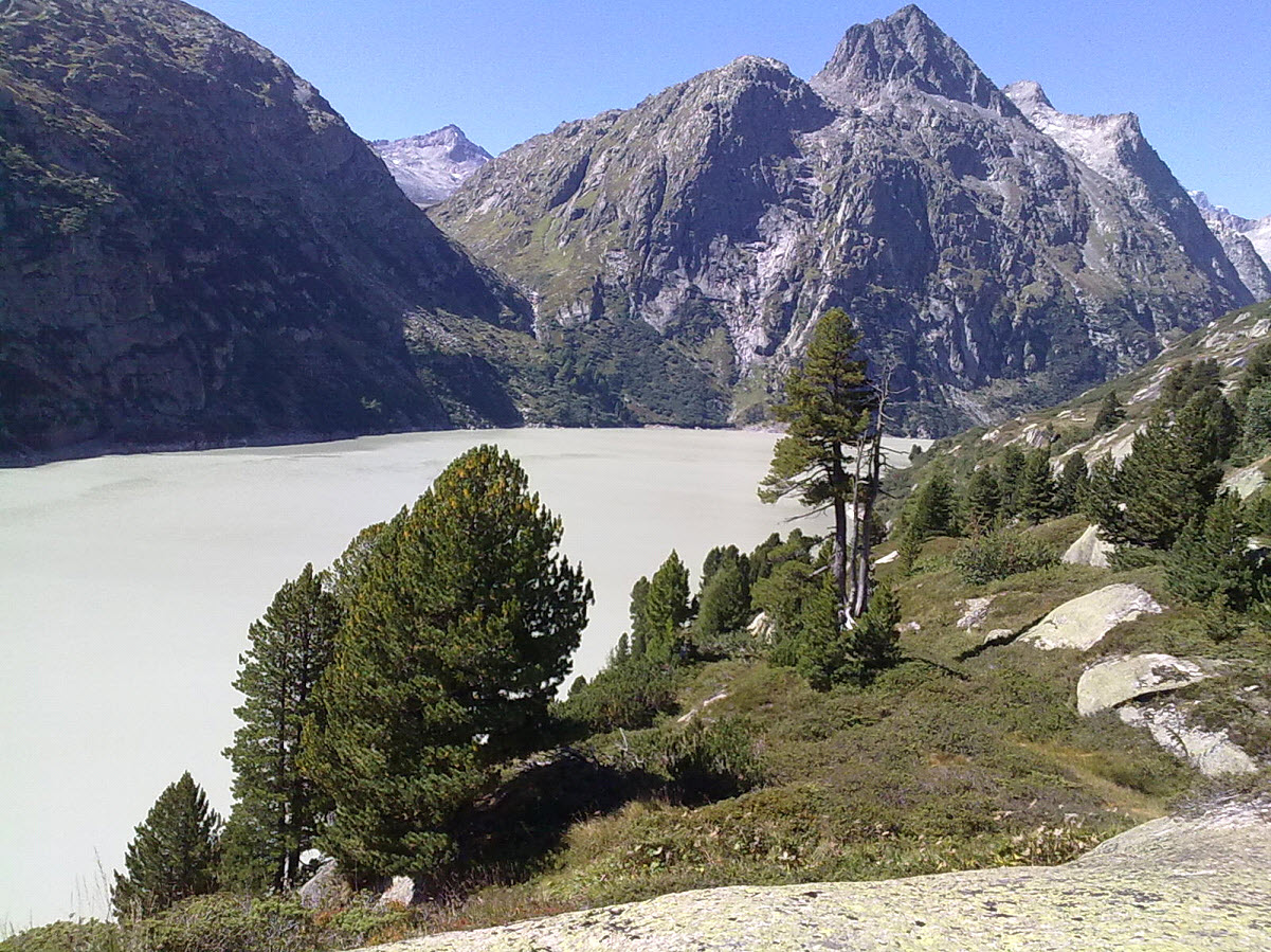 Sunnig Aar. (Bild: Peter Anderegg)